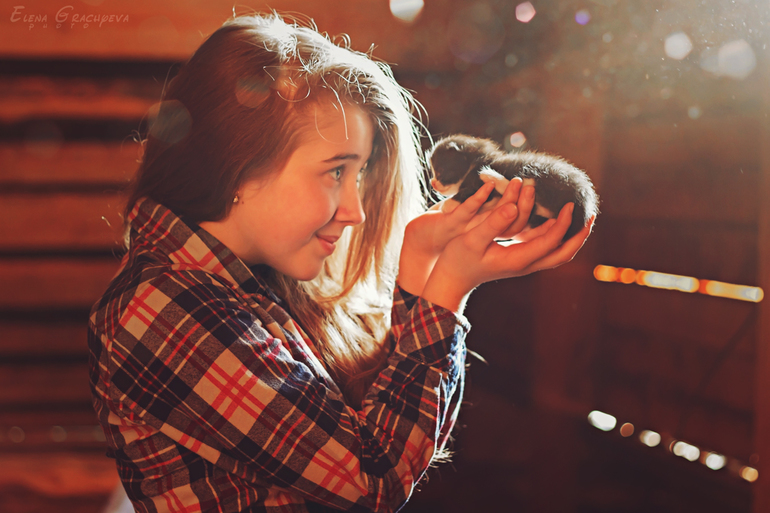 На чердаке.