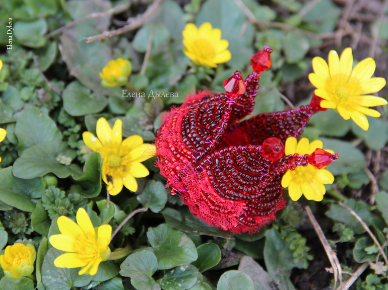 Корона красная - 1