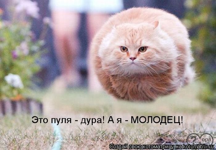 Улыбайся, улыбайся...)))