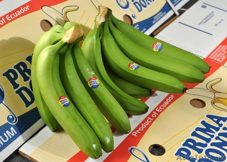 Можно есть зеленые бананы. Производители бананов. Бананы производитель. Зеленые бананы. Фирмы производители бананов.