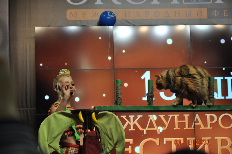 Постой, паровоз, не стучите, колеса...