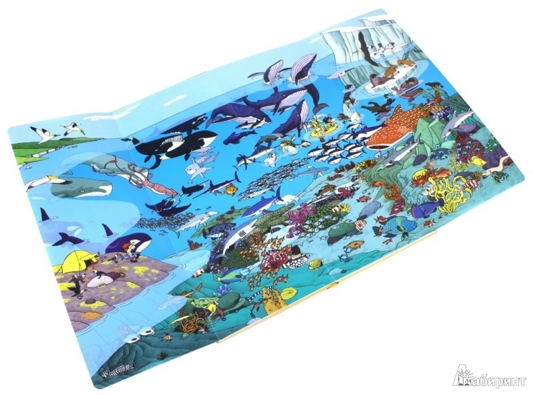 пополнение книжной полочки