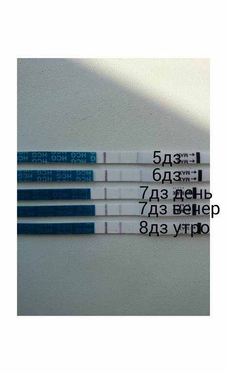 третий раз.... я в беременность больше не верю.... не хочу...