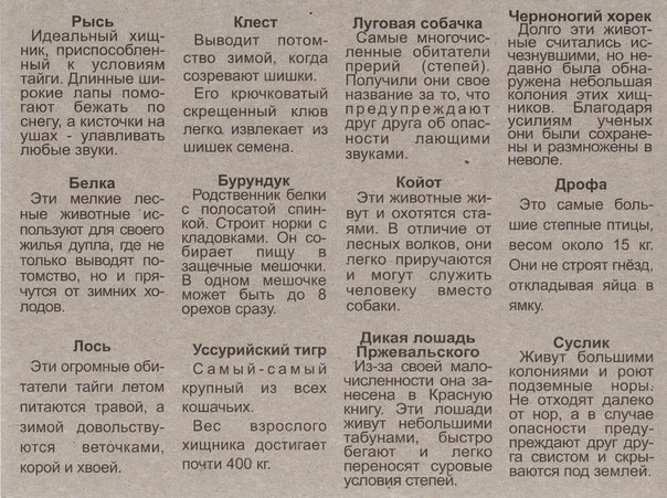 Дидактическая игра