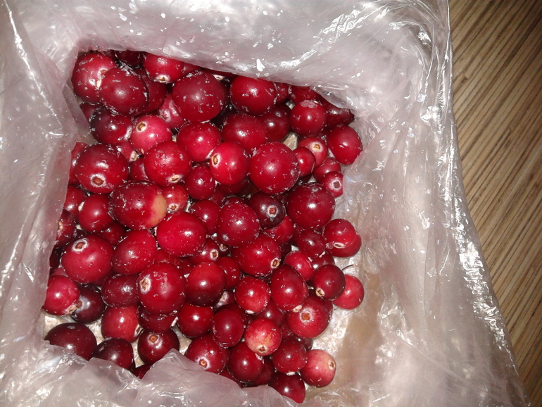 Наша аптечка