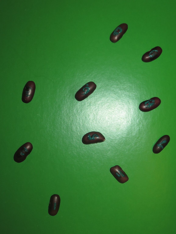 fcf6b2b1cbb81dda7c4d0dce6d99d0df.jpg