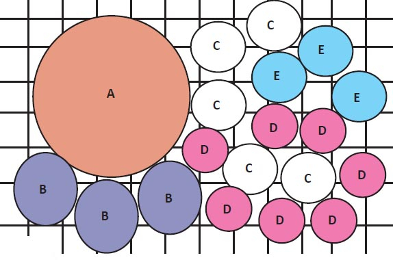 Схема цветкова. Схема цветов на 19 голов. Схема цветов по ребренду.