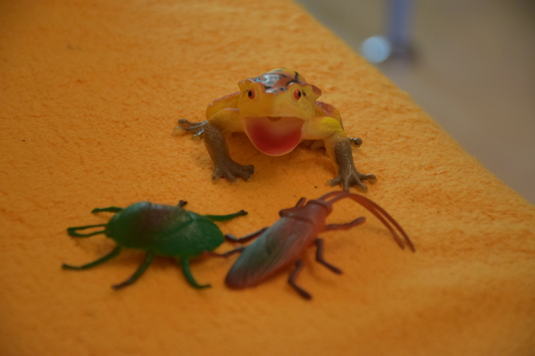 Тз Головастики