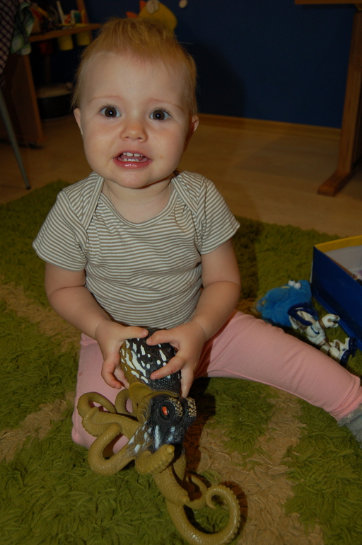 ТН Море. Кит,дельфин,черепаха