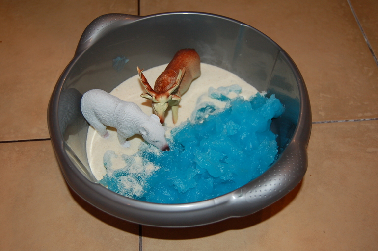 Флешмоб ТН Арктика и Антарктика. День 3