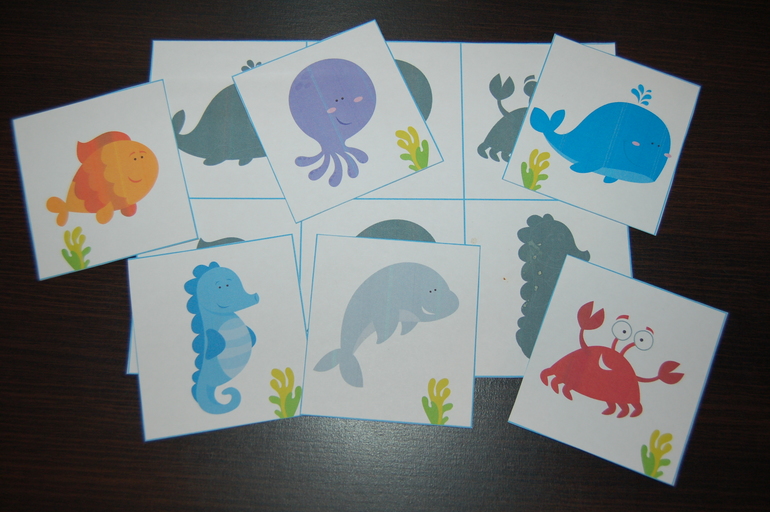 ТН Море. Кит,дельфин,черепаха