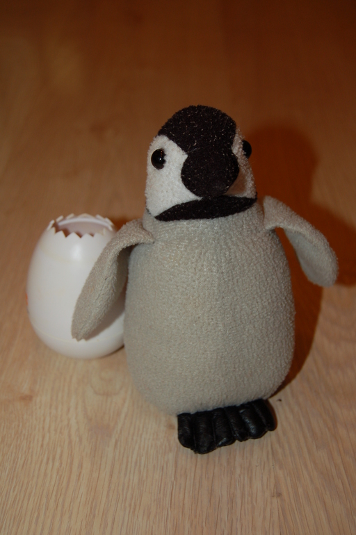 Флешмоб ТН Арктика и Антарктика. День 2.