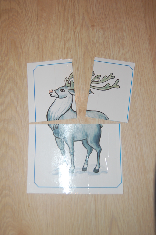 Флешмоб ТН Арктика и Антарктика. День 4