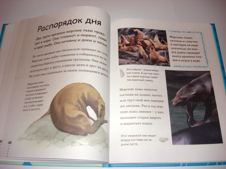 Первый снег...