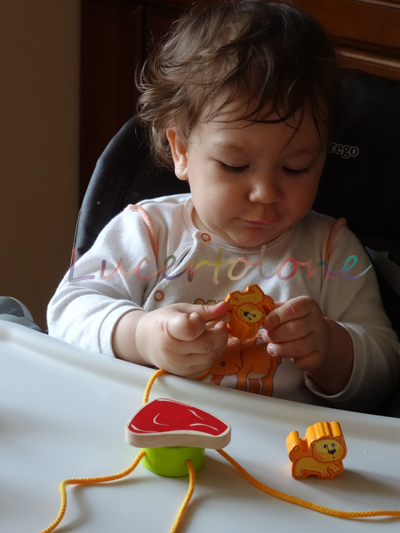 ТН "Дикие кошки". День 1. Лев и тигр