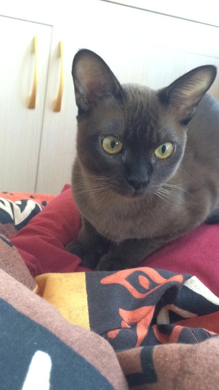 Наша первая выставка!