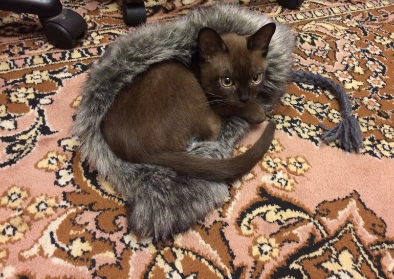 Наша первая выставка!