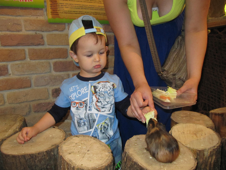 Трогательный зоопарк