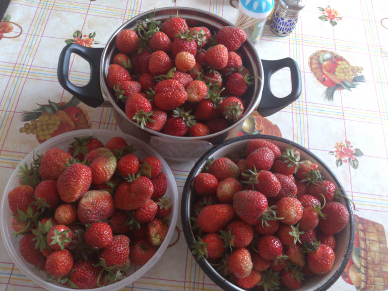 Наши мелкие))))