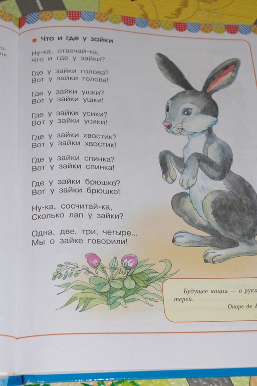 ТН Дикие животные