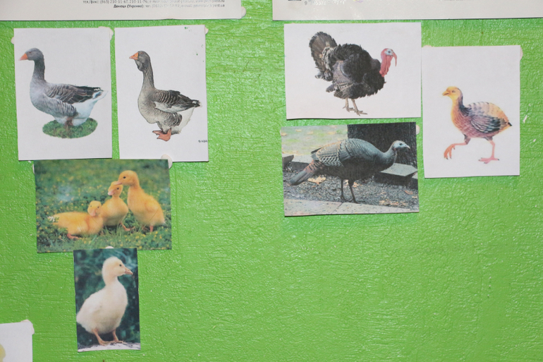 Отчет День №2