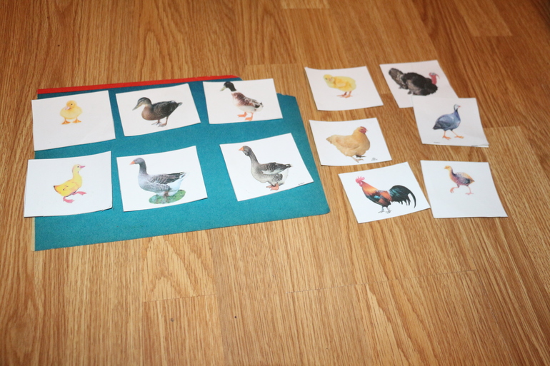 Отчет День №2