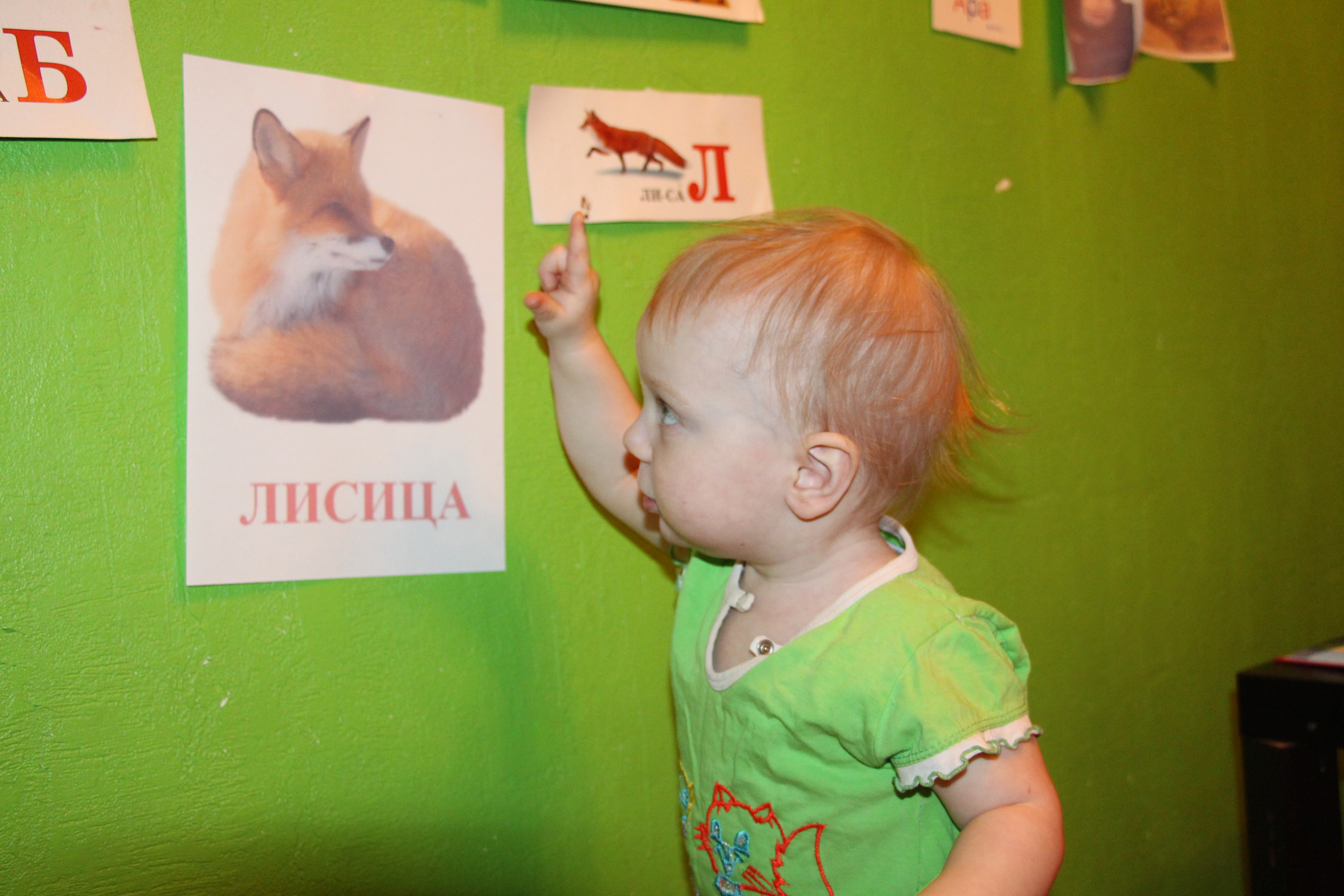 Отчет 1