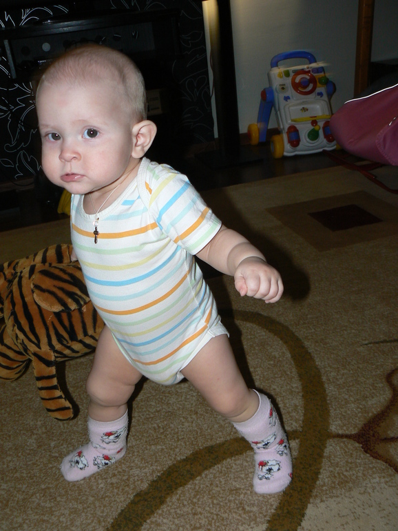 Ёжкины санки