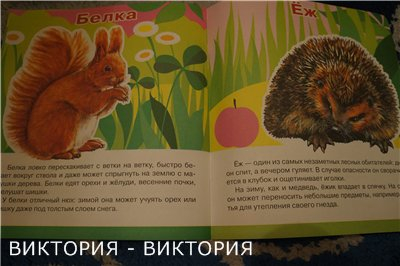 Мини-энциклопедии 2