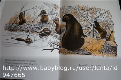 Луговая считалочка - Over In The Meadow - John Langstaff