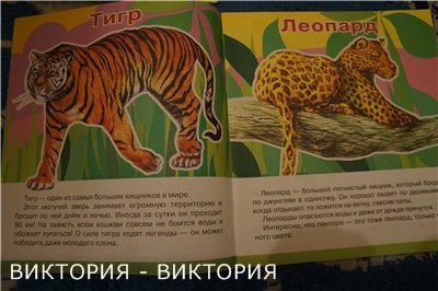 Мини-энциклопедии 2