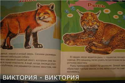 Мини-энциклопедии 2