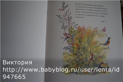 Луговая считалочка - Over In The Meadow - John Langstaff