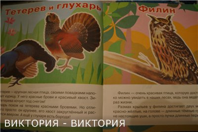 Мини-энциклопедии 2