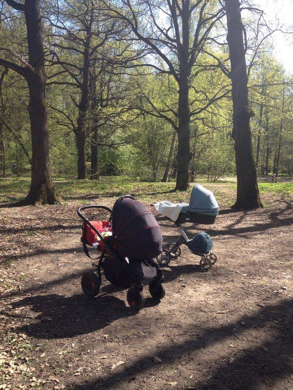 На шашлыки с малышом