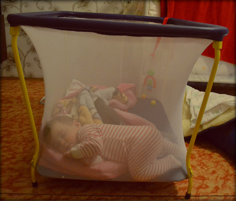 Заснула в манеже