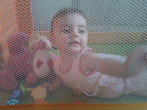 Мышка научилась ползать+фото