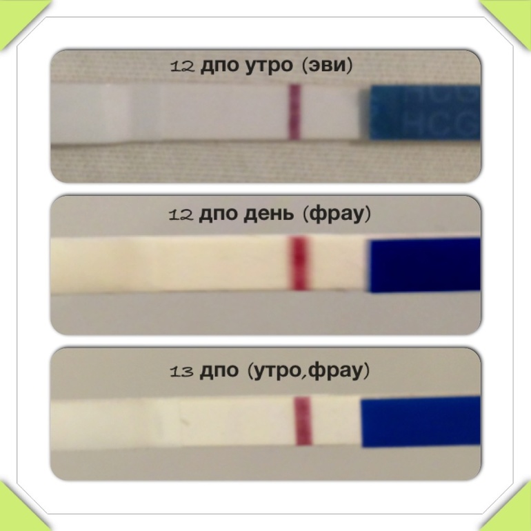 В шоке!Результат хгч..неожиданный поворот