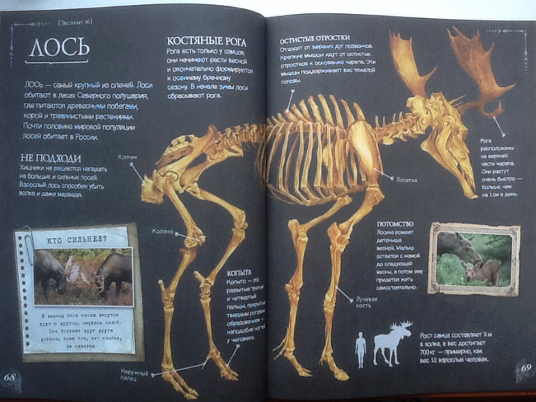 Ну очень классная книжка!!!(Новинка от Clever)