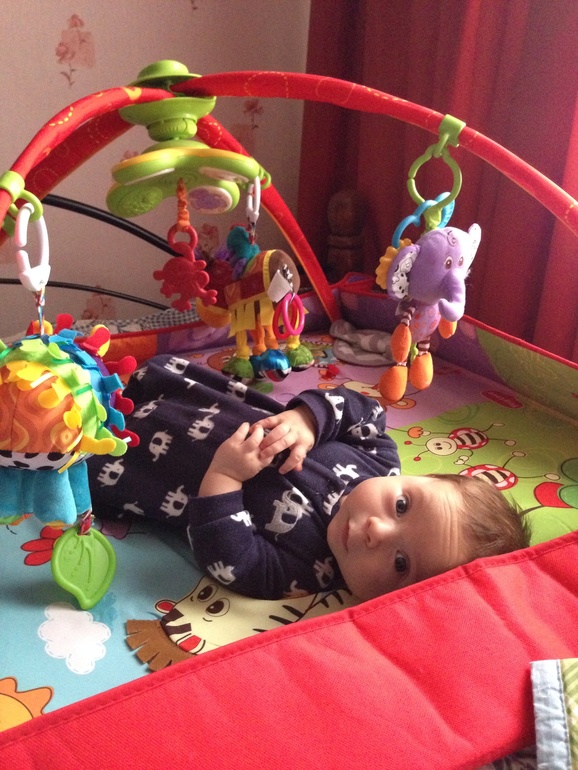 Моему Сахарку сегодня три месяца!