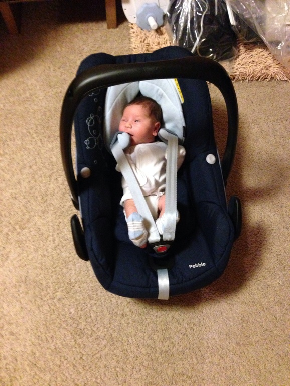 Моему Сахарку сегодня три месяца!