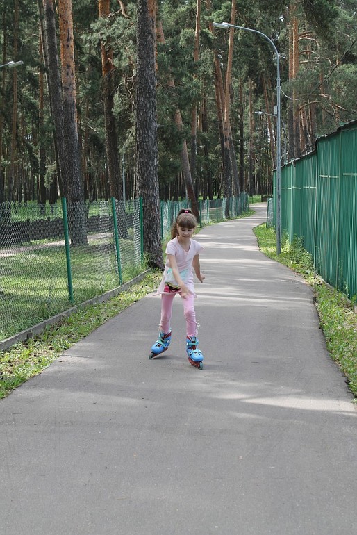 02.06.14 парк в сосновом лесу)