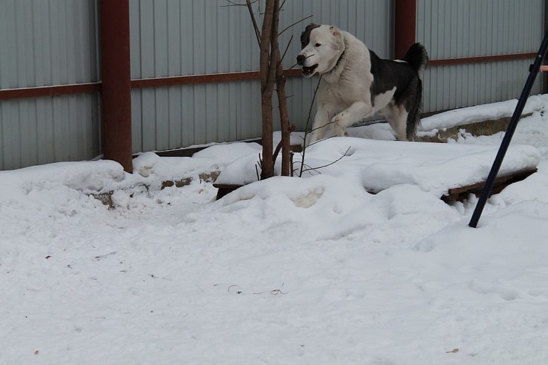 Мой самый преданный друг=)