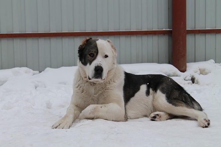 Мой самый преданный друг=)