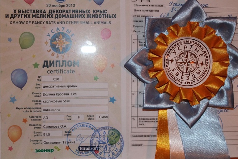 Наша первая выставка. 30.11.13 )))