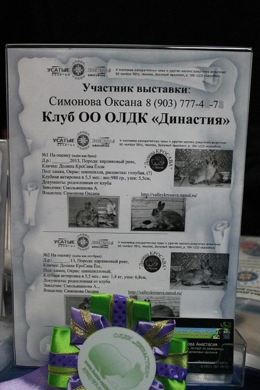 Наша первая выставка. 30.11.13