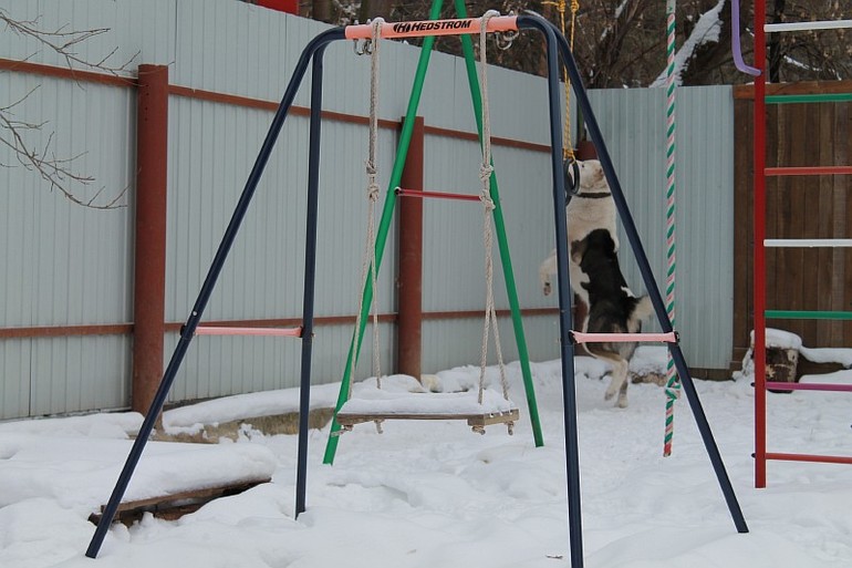 Мой самый преданный друг=)