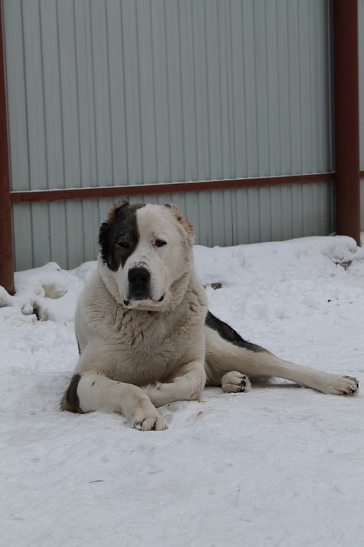 Мой самый преданный друг=)