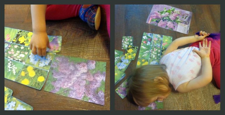 Сиреневый ТД