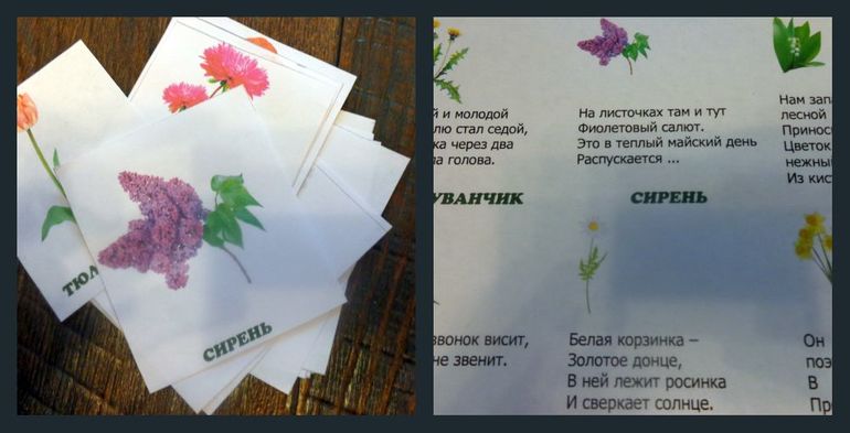 Сиреневый ТД